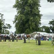 Highland pony parade and competition at the GWCT Scottish Game Fair – a major and popular feature of the event