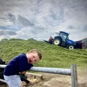 Sandy Miller supervising the silage at High Gameshill, Stewarton