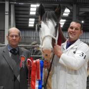 Judge Jim Rochead presents the championship trophy at last Saturday's Clydesdale Winter Fair to Pete Black and Collessie Alanna