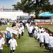 THIS JUNE the Royal Highland Show will be back to its full glory