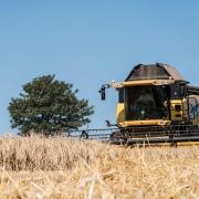 The average overheads per hectare per tonne for UK wheat producers is £118