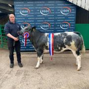 The pre-sale champion from Phillip Brass went on to top the sale at £3000