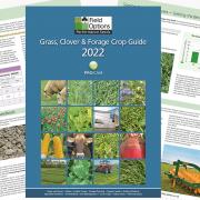 New Field Options guide offers practical solutions to getting the best value out of home-grown forages