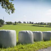 Test bales to avoid contamination before storage says Eurofins expert