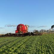 Guidance issues for digestate use on farms