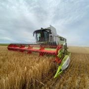 Neil White of Greenknowe farm kicks off harvest 2022 in his one year old Claas 5500 with a 770 convio belt fed header