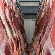 RSCPA is calling for a ban on exporting meat killed without pre-stunning