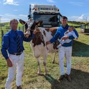 The future of dairy farming in Kintyre is strong, with three generations of the Barr family from Clochkiel Farm pictured here at Kintyre Show with their dairy inter-breed champion, Calderglen Hankerchief. From left to right: Robin Barr snr, Robin Barr