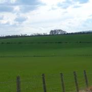 Robert Barrow's slurry trial – The middle field in the picture had Digest-It applied to the top half and untreated slurry to the bottom half – improvements to grass growth and health were seen