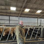 Stockman Thomas MacNeill explains the cattle system at Craigens Farm to Monitor Farm attendees