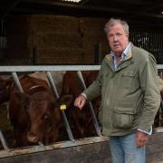 Jeremy Clarkson with cows.