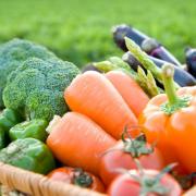 The study looks at plant-based diets