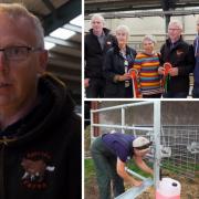 Two Fermanagh farming families to appear on next episode of 'Rare Breed - A Farming Year'.