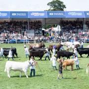 Always a highlight of the Royal Highland Show, the annual parade as pictured last year by Rob Haining