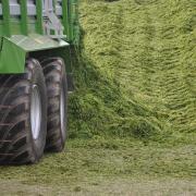 Multi-cut silage has the potential to be £700/ha more profitable than a traditional three-cut system