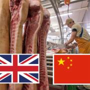 The UK government is being called on to help restore pre-pandemic pork exports to China  