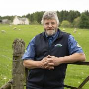 NFU Scotland President wants the Bute House agreement scraped if Green agenda does not change course