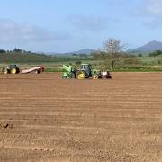 Potato planting is behind schedule in the early areas of the UK