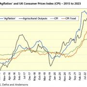 Agflation is falling alongside the value of farm outputs while food prices remain high