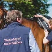 Learning how to fit a saddle properly is the object of a course run by the Society of Master Saddlers
