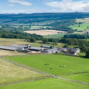 Crow Hall Farm, based in Northumberland, is a 'first-class livestock farm' according to GSC Grays, who are marketing the property for sale