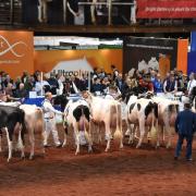 Look back at last year's UK Dairy Day shows the quality of the cattle is often second to none