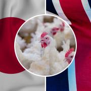 UK poultry could soon meet Japanese tables
