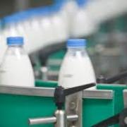 Milk production falls