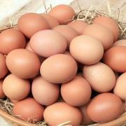 Sunrise Eggs is set to compensate over £240,000