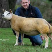 Lurg Juicy Lucy ET ewe lamb from Alan Miller topped the sale at 6000gns