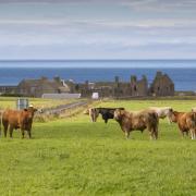 Islanders will be asked their views on changes to agricultural and land use policies