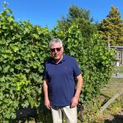 Gordon Rennie visiting one of the vineyards