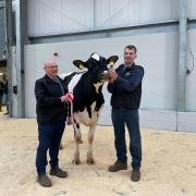 Judge, John Unsworth with the champion, Denmire Crushabull May from Andrew Dennison
