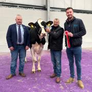 Champion, Boclair Delta-Lambda Rose with the judge, Alister Vance, David Brewster and Charlie Craddock