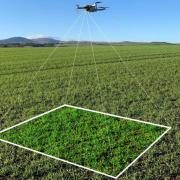 Drones can be quick at checking crops