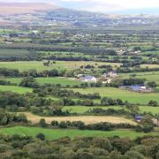 The EFS offers farmers in NI a five-year agreement to deliver environmental measures