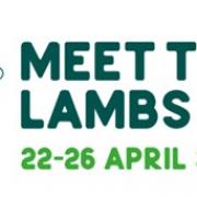 Meet the lambs online