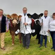 TEAM FOXHILLFARM excelled last year, winning champion of champions with an Angus heifer and top Limousin award. Pictured (L to R): Mike Alford, John McCulloch, Drew Hyslop, Melanie Alford