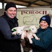 Neil and Debbie McGowan with two of the recently born lambs  Ref:RH100424048  Rob Haining / The Scottish Farmer