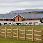 Breeding cattle sold to £5500 at Stirling