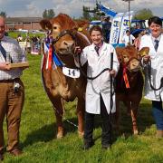 Jim Craig presents the Rowan Crystal Trophy for the overall champion of champions to Robert and Jean Graham's Limousin, Grahams Ruth paraded by Lynsey Bett with her bull calf shown by Liz Vance