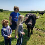 Open Farm Sunday is in its 18th year