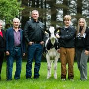 The Gray family, Moira, Jim, David, Calum, Erica, Julie with Drointon Royal Virtue Ref:RH140524209  Rob Haining / The Scottish Farmer...