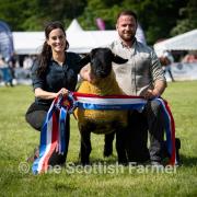 Overall champion of champions was the supreme sheep, a Suffolk gimmer from Stewart Lathangie, Pyeston and his fiancée Avril White