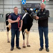 Champion winner from the Brewsters, Boclair Lambda Celebrity pictured with the judge Ewan Paul left and handler David Gray