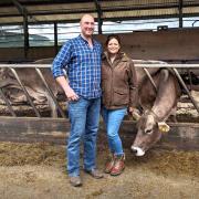Jonny Lochhead and Jessica Millar are seeing increased demand for Brown Swiss genetics from their show winning Kedar herd