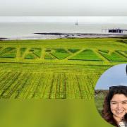 Tom Heal proposed to his fiancée by mowing the words 'Marry me' into his field near Hinkley Point.