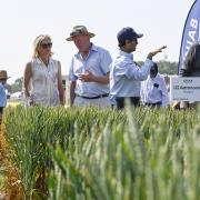 The Cereals Event is held on 11 and 12 June in Hertfordshire