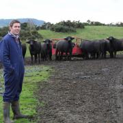 Steve Mitchell of Fife's Buffalo Farm