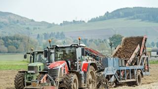 Carrot harvest kicks off in May near Coupar Angus